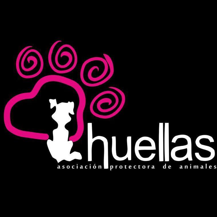 ASOCIACIÓN PROTECTORA DE ANIMALES.