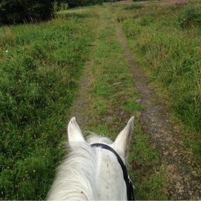 claresheehan2's profile picture. 