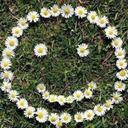 Kim Cameron-Gall - @kimgall01 - Twitter