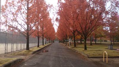 0417S15's profile picture. 