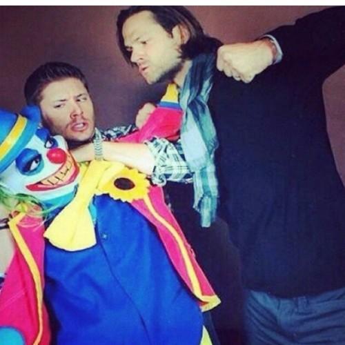 Supernatural is life. I love me some pie. Are you a low salt- sodium freak?? I lost my show....hey ass-butt ready to go hint. Jerk..bitch.Where's moose