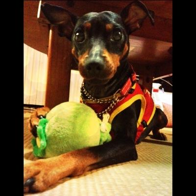 misaki_0830's profile picture. 