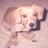 magda_71's profile image