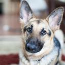 Tom Duarte - @Jitsufi - Twitter