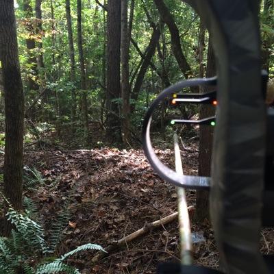 Sitting here, waiting on a deer, drinking beer, and wasteing bullets