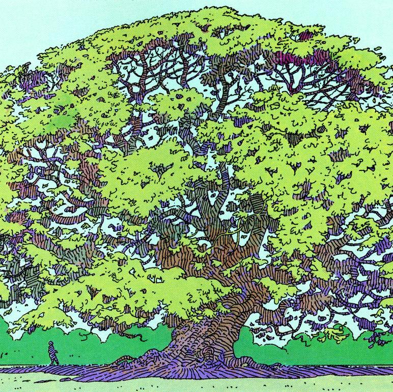 neophrasis's profile picture. exiting the existing system's conditions and goals