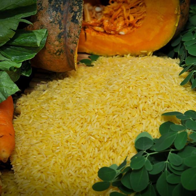 Updates and resources from the IRRI-coordinated Golden Rice project in the Philippines, Bangladesh, and Indonesia.