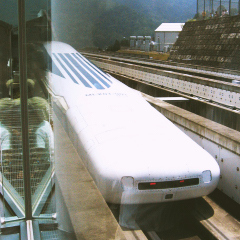 私が今までに見て印象に残ったもの

・満員電車から降りてきた小人．．．と思ったら電車とホームの間に片足を落したサラリーマン
・赤信号で停まったすごく古い黒塗りのリムジン．．．運転席と隔てられた後席に座っていたのは背筋を伸ばした若い男と室内を動き回るトラ

他にもいろいろあるけど文字数制限で書ききれんわ。（笑）