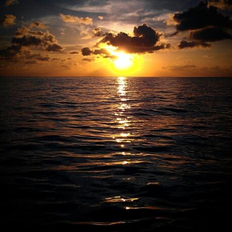 DenomOfCompart's profile picture. AND, what?