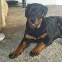 jacob trimble - @jacobisawesom10 - Twitter