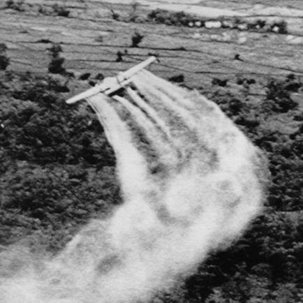 2378Tetrach's profile picture. 