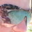 clairebear_80's profile image