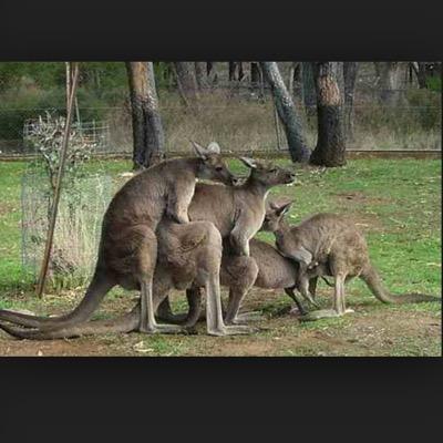 Uppiityy's profile picture. X1 comp player | 15 years old | f/a | tourney wins 4 | Texas |