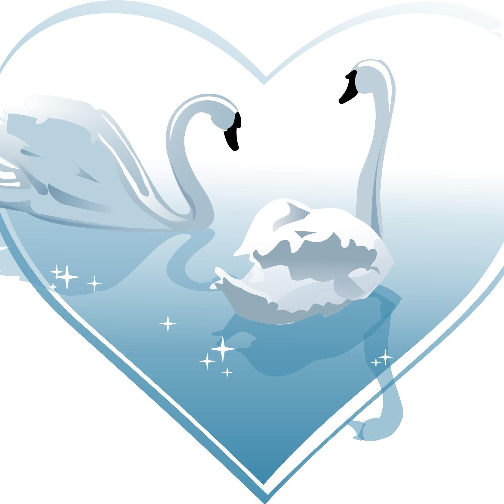 trouwdagtweets's profile picture. 