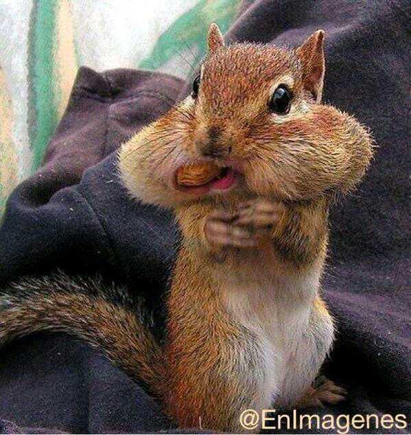 LasoleElgueta's profile picture. 