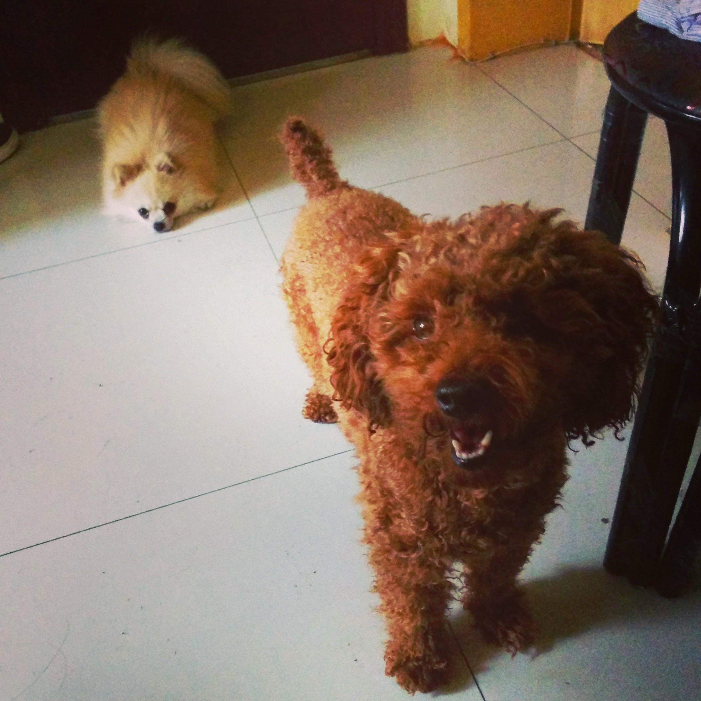 iwanderer's profile picture. 