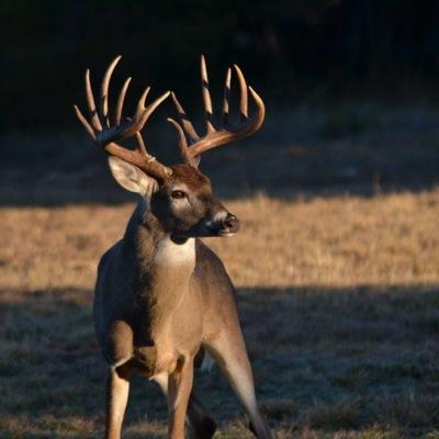 Ranch Manager-Wildlife Biologist