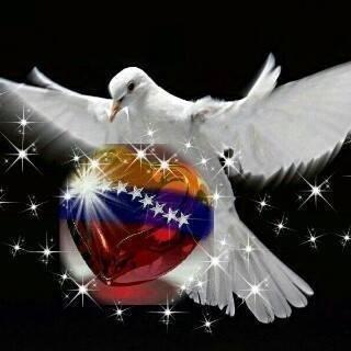 No Soy Escualido, Ni Chavista, No Soy Tierruo, Ni Oligarca, No Soy de Izquierda, Ni de Derecha. Soy Venezolano y Merezco Respeto