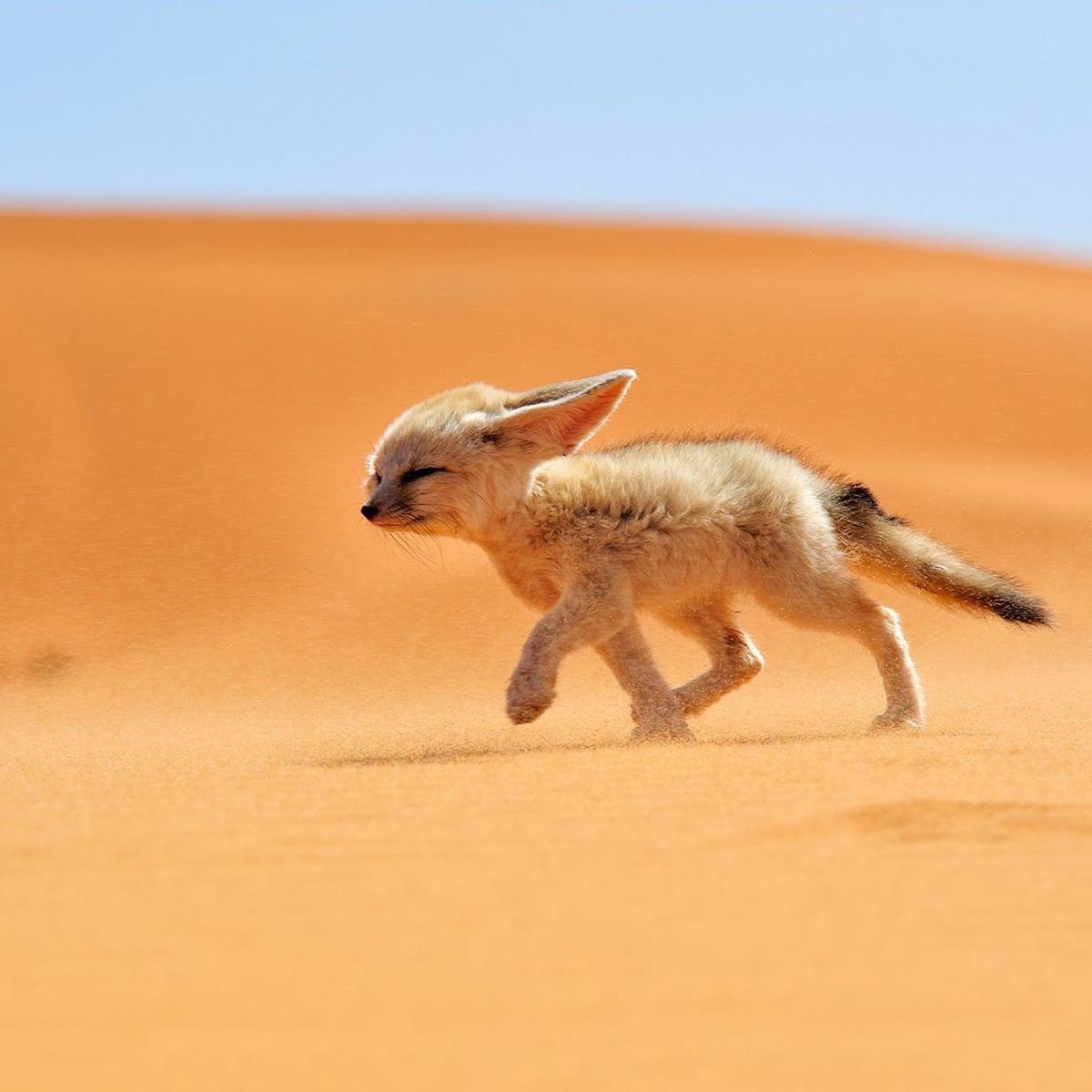 sultmoo's profile picture. ‏قروب لزياده متابعين اللي أتابعه وما يتابعني ألغي متابعتة على طول