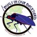 Bugs In Our Backyard (@jhaematoloma) Twitter profile photo