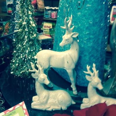 HandNursery's profile picture. The Magnolia State's leading boutiqe nursery. Creating artful, natural beauty in you home and business since 1976 #HandNurseryPruitt