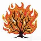 A conservative, egalitarian synagogue serving southwest Nassau County and the world. Member United Synagogue of Conservative Judaism.