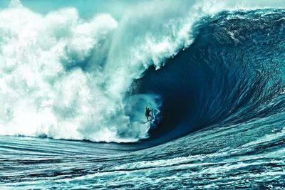 surfista