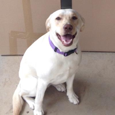 leebarclay46's profile picture. Love my footy, cricket, family. In what order is the question....