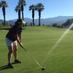 Jennifer O'Hara (@jenohara) Twitter profile photo