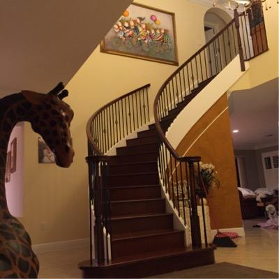 ICPainting1's profile picture. Exterior, Interior, Residential or Commercial Full Service Painting Company.