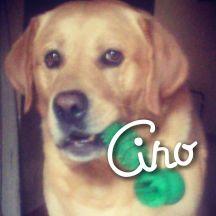 Amo a mi mami, Amo a mis abus. Amo desayunar mis cholitas. Sobrino de @Fabrocaminos1