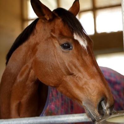 WaT大好き 徹ちゃん、瑛ちゃん、上原理生さん、LE VELVETS、私の生きるミナモトです｡競馬も大好き。