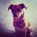 Sandy Hicks - @HicksSandy - Twitter