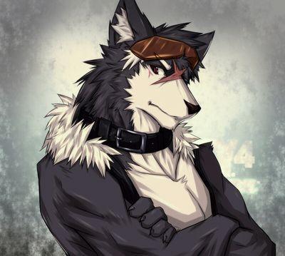 wolf/dragon(hybrid) #single / 18 years old / #bi / #NSFW / #yiff / (español/english) #FURRY #HENTAI #RP #DM (NOT MY ART)