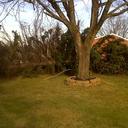 lenny rowe - @lennyrowe1 - Twitter