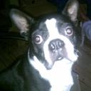 Lee Stillman - @LeeSpoiledrottn - Twitter