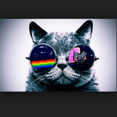 niggakw's profile picture. 