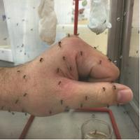 Chris Vitek (he/him) (@skeetobite) 's Twitter Profile Photo