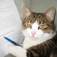 Stéphane Loisel (@stfloisel) 's Twitter Profile