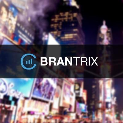 BrantrixDE's profile picture. social media brand monitoring tool