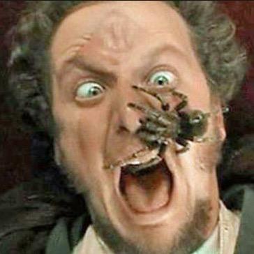 I'm Gonna Murder that Kid!!! Your favorite villan from Home Alone 1 and 2