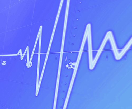 Bizzpulse's profile picture. 