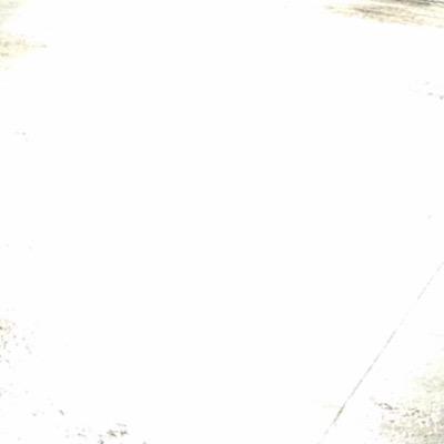 yさんのプロフィール画像