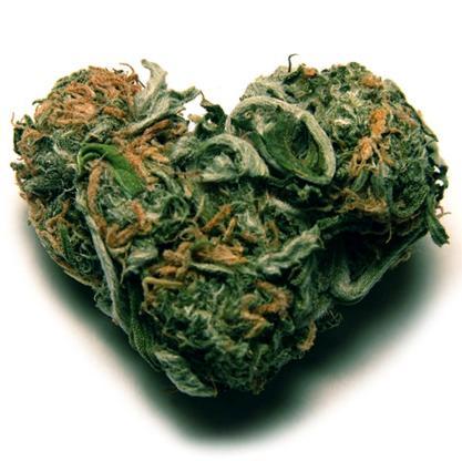 Bringing you the highest tweets in 140 characters or less. Are you cool as cannabis?