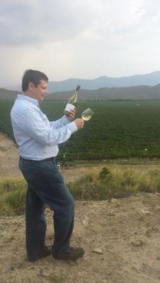wine lover, importer , retailer, HEB,family, friends, compadres, sierra ,MEXICO