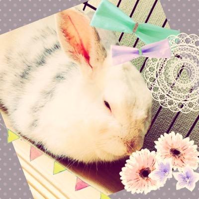邦ROCKすき＊エルレは特別＊ 動物すき＊うさぎと同居中＊ 服すき＊ジーナシスすき＊ 漫画すき＊糖分ないと生きていけません＊