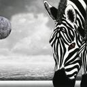 SeanHolly - @SeanHolly - Twitter