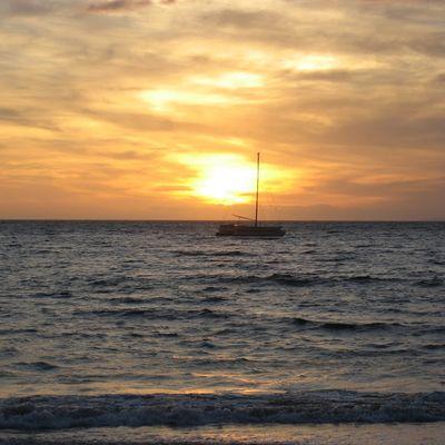 ay26048's profile picture. 