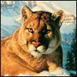 Anjasa Blanchard (@typuxuzopuq) 's Twitter Profile Photo Anjasa Blanchard (@typuxuzopuq) 's Twitter Profile Photo