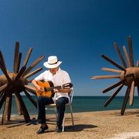 Malecon Vallarta (@maleconvallarta) 's Twitter Profile